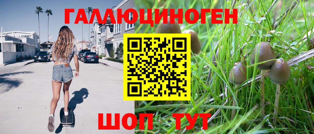 Галлюциногенные грибы мицелий Мурманск